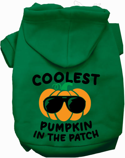 Coolest Pumpkin Halloween Pet Hoodie