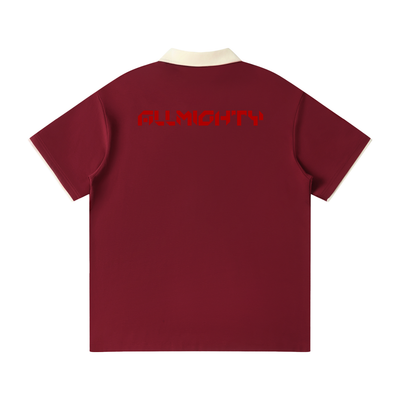 Contrast Collar Raglan Polo Shirt